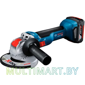Угловая шлифмашина Bosch GWX 18V-10 Professional 06017B0102 (с 2-мя АКБ, кейс)
